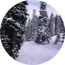 Nicolos DeLand Avatar