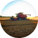 Southern Indiana Farmer Avatar