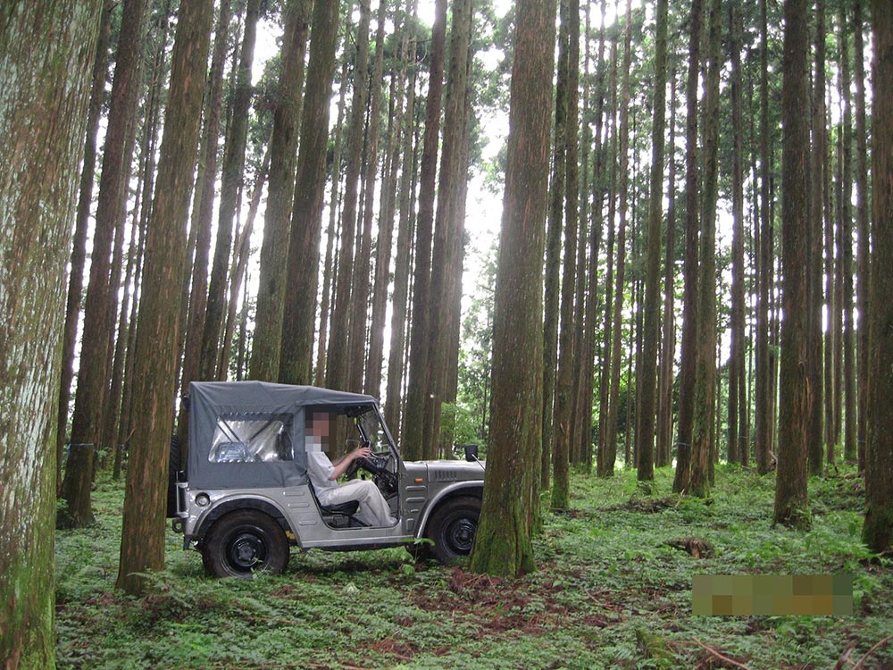 Mehr Auto als je zuvor: Suzuki Jimny - Mikro-G-Klasse aus Japan 