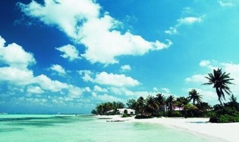 Hot and New Destinations for Good Used Cars Direct from Japan Part 3: The Caribbean (Cayman Islands, Trinidad, Jamaica, St Lucia, Grenada)